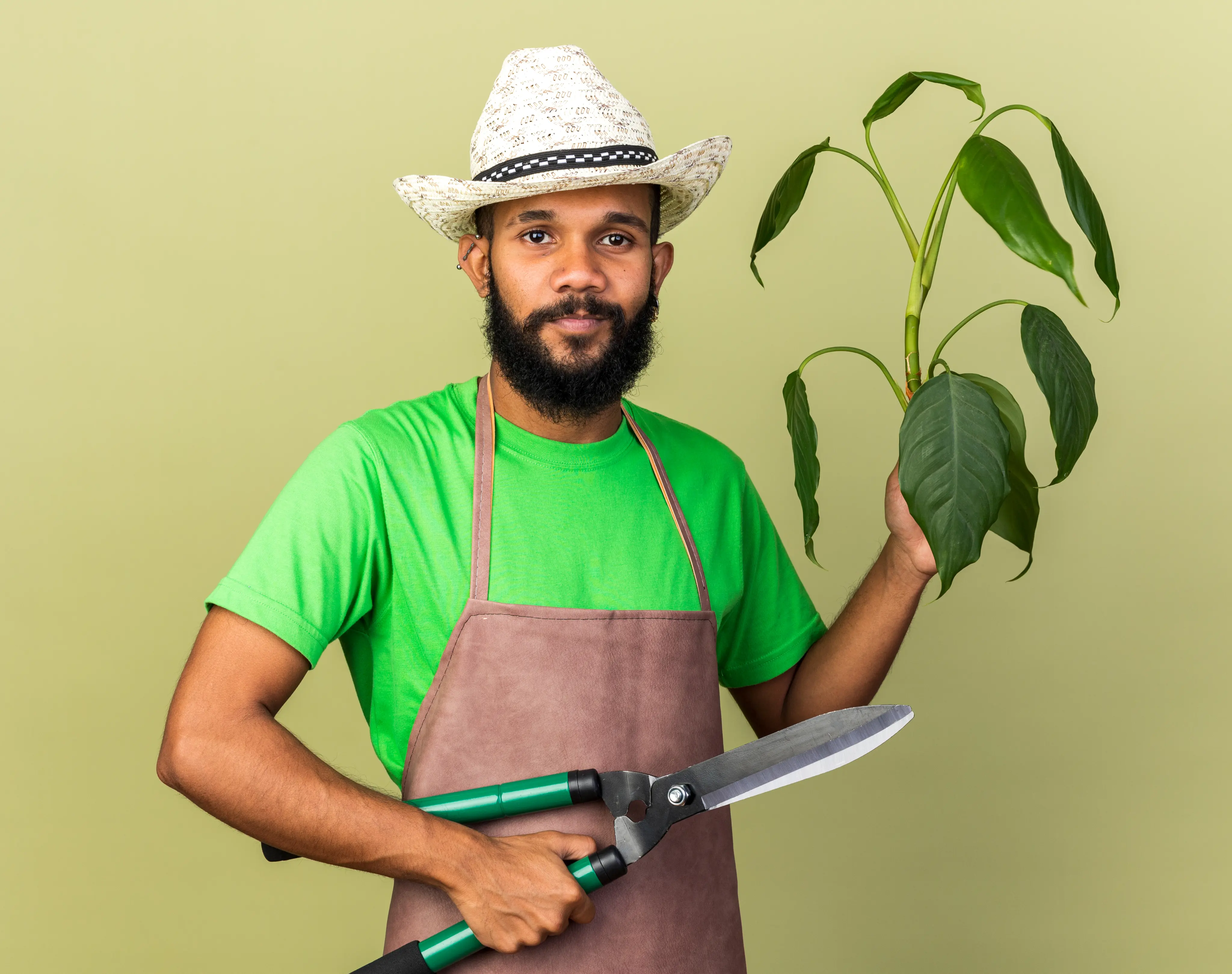 Plant care